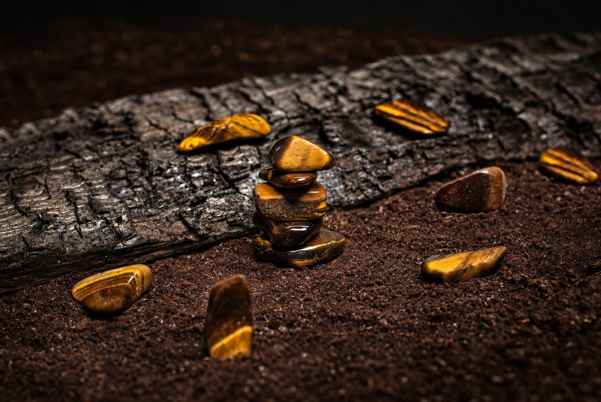 Polished Tiger eye stones arranged on dark soil with a textured blackened wood background, showcasing the golden-brown bands and natural crystal beauty of Tiger eye.