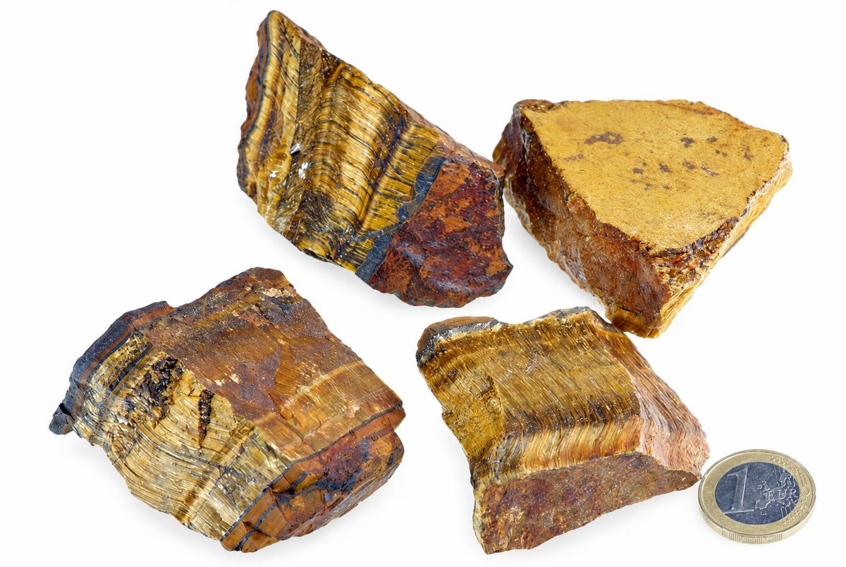 Four pieces of raw tiger eye mineral with golden brown and black banding, arranged on a white surface next to a one euro coin.