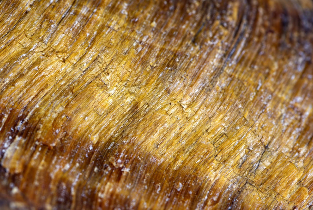 Close-up of a tiger eye stone showing golden brown and dark brown banding with visible cracks on a dark surface.