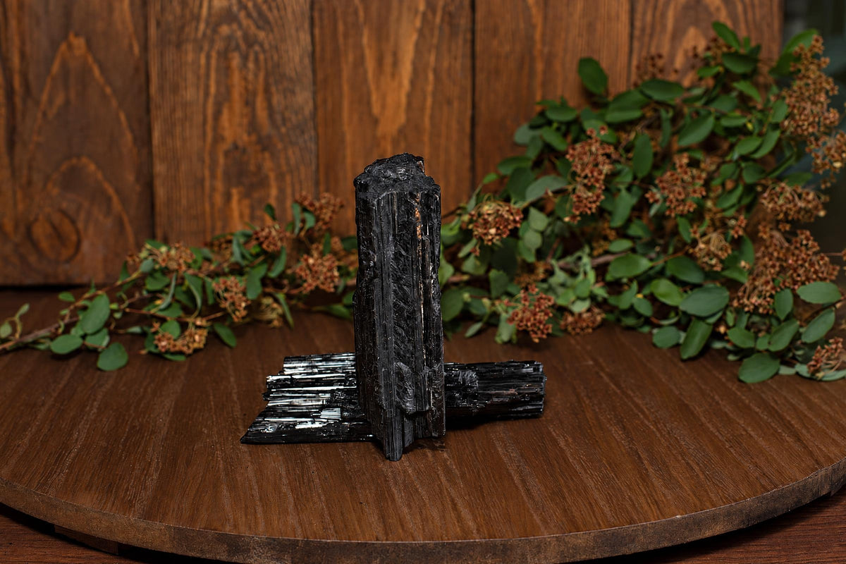 A black tourmaline crystal cluster with a tall vertical piece and horizontal base, on a wooden surface near greenery.