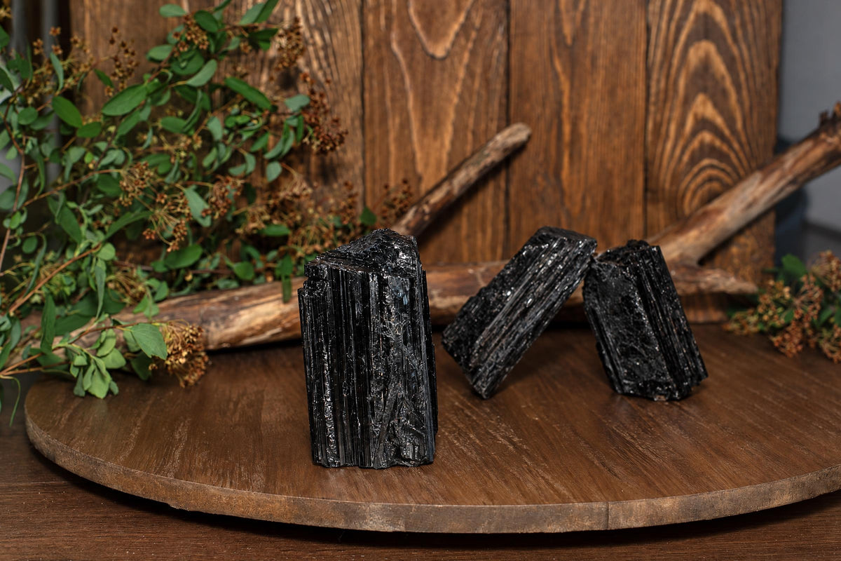 Three black tourmaline crystals with vertical striations stand on a wooden surface, set against a wood-paneled background with greenery.