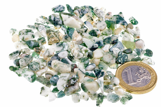 A pile of small, irregular tree agate stones with white and green patterns on a white surface next to a one euro coin.