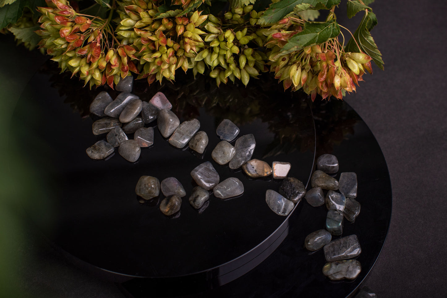 Labradorite – XS - www.Crystals.eu