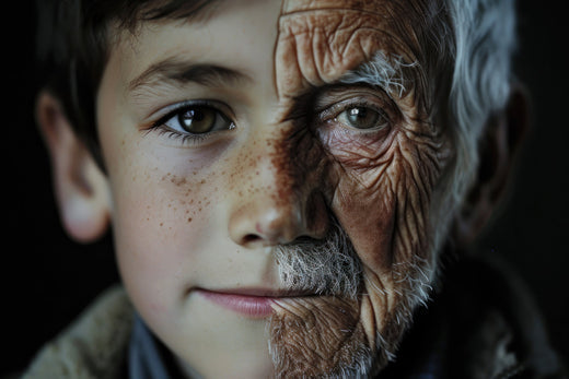 Age-Related Physical Changes and Strategies for Longevity