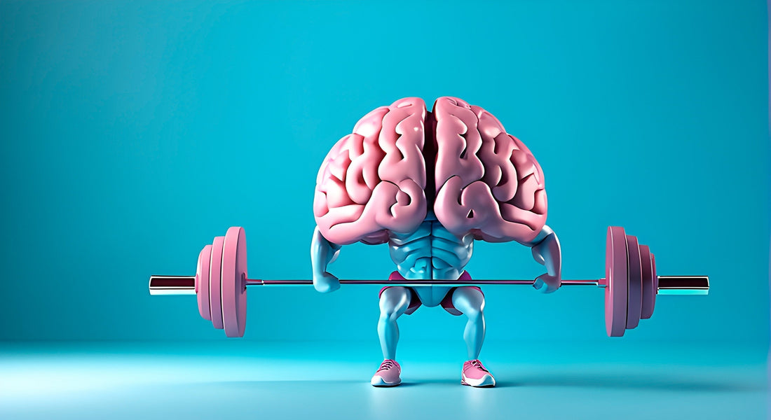 Brain Training Games and Mental Exercises