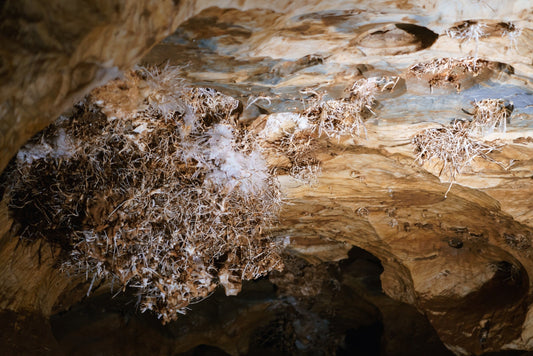 Brown Aragonite — Physical & Optical Characteristics