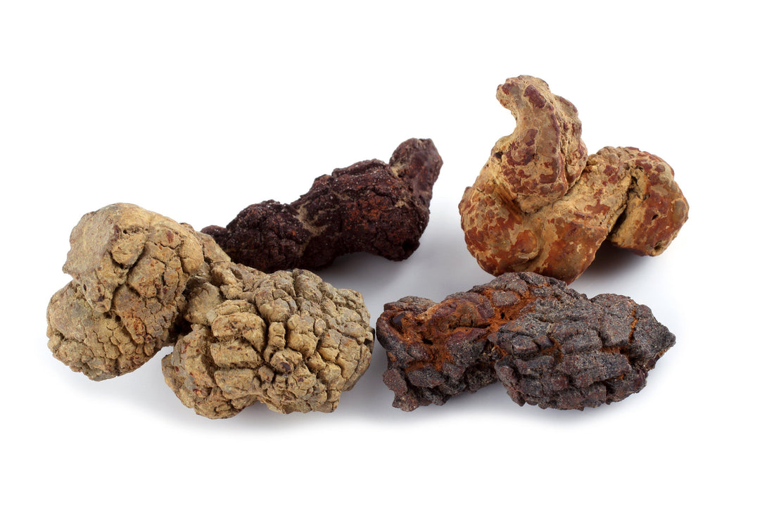 Coprolite: Physical & Optical Characteristics