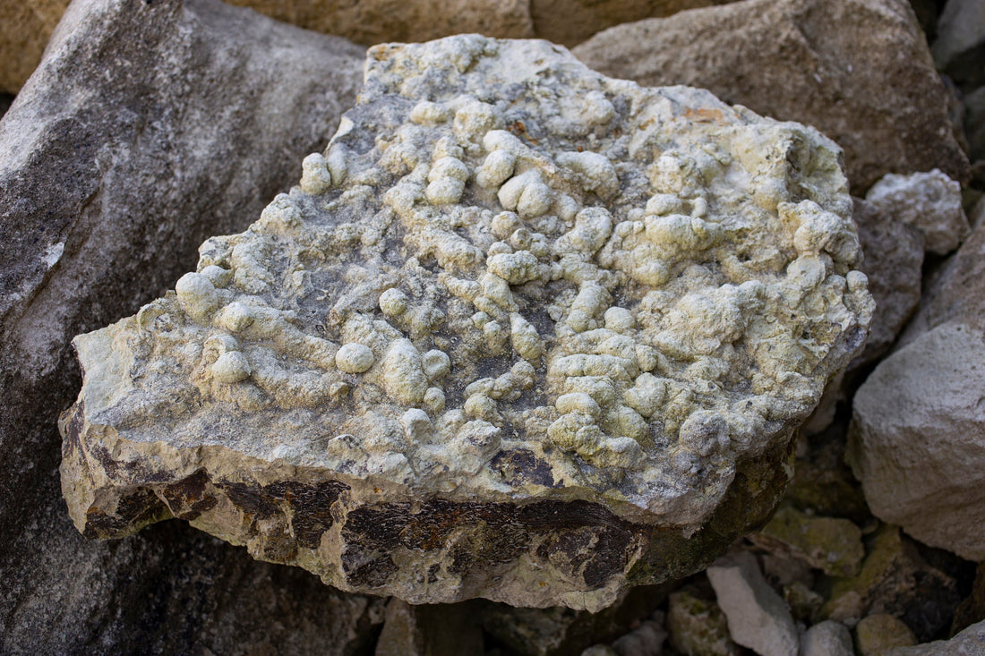 Coprolite: Legends & Myths — A Global Survey