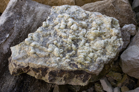Coprolite: Legends & Myths — A Global Survey