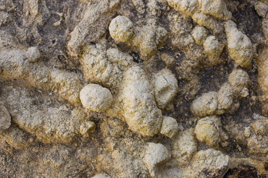 Coprolite: Mythical & Magic Uses — A Practical Guide