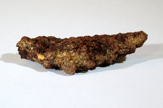 Coprolite: The Wayfarer’s Whorl — A Legend of the Stone That Remembers