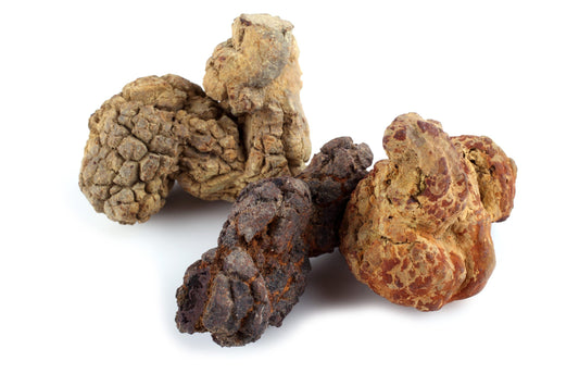 River‑Root Renewal — A Coprolite Spell