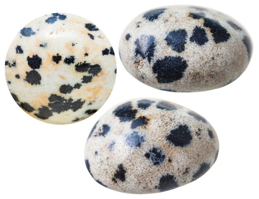 Dalmatian Jasper: Grading & Localities