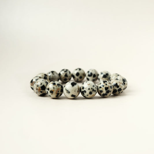 Dalmatian Jasper: Formation, Geology & Varieties