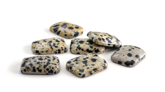 Dalmatian Jasper — “Dot & Begin” Spell