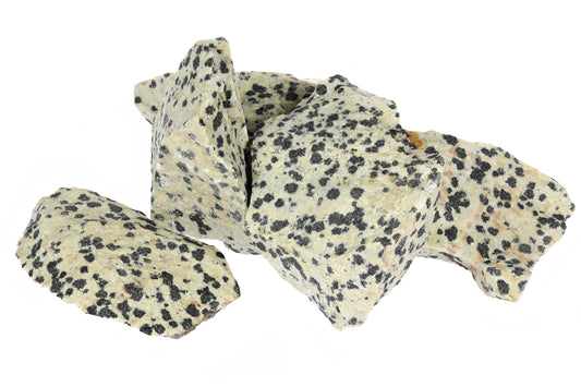 The Spotted Companion: A Legend of Dalmatian Jasper