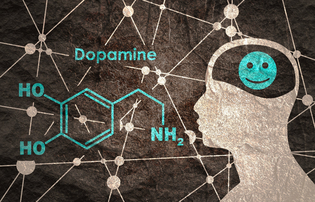 Dopamine, Tolerance and Withdrawal