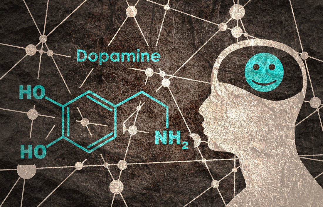 Dopamine, Tolerance and Withdrawal