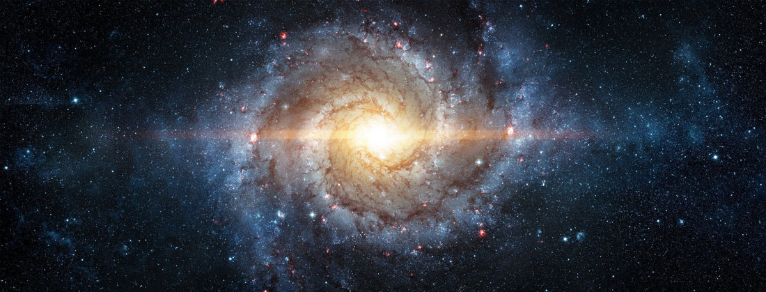 Evolutionary Paths: Secular vs. Merger-Driven
