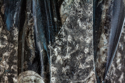 Orthoceras: Mythical & Magic Uses — A Practical Guide