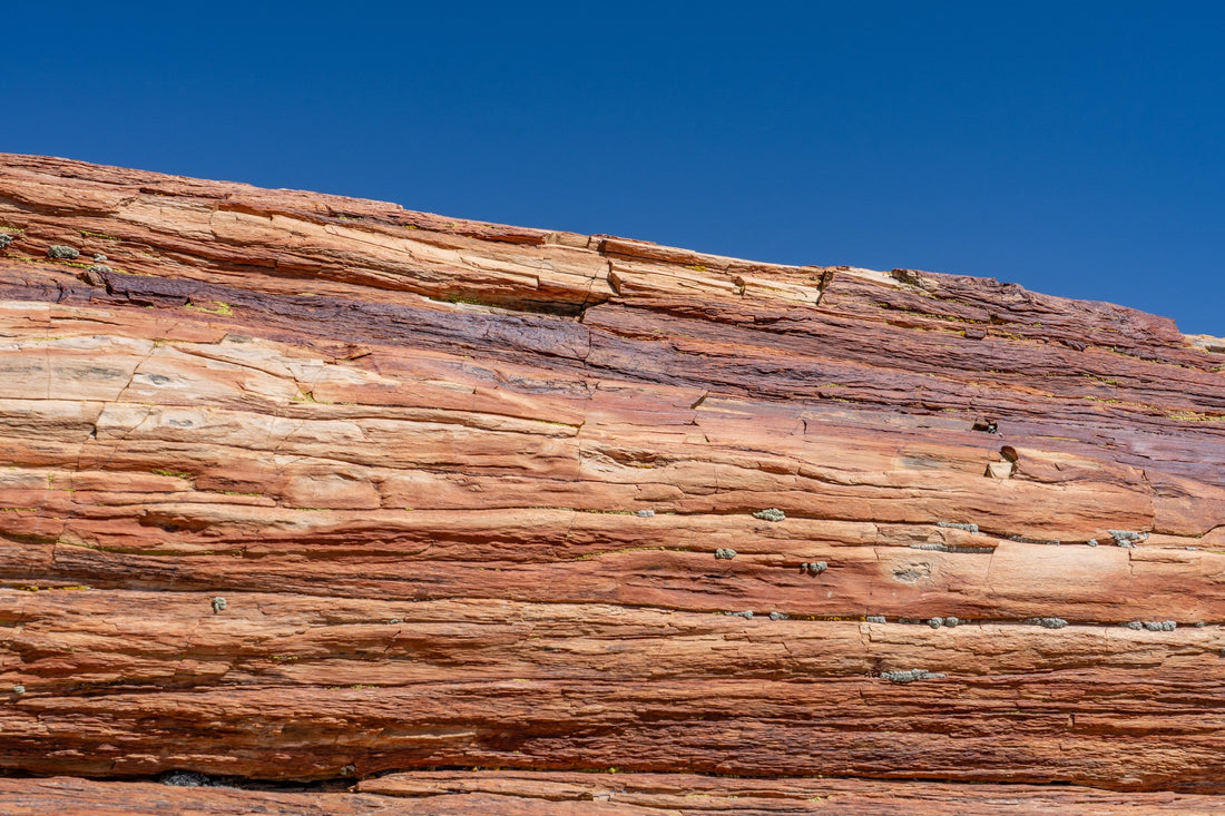 Petrified Wood: Legends & Myths — A Global Survey