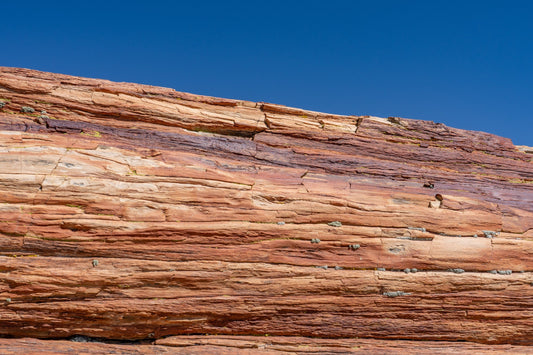 Petrified Wood: Legends & Myths — A Global Survey