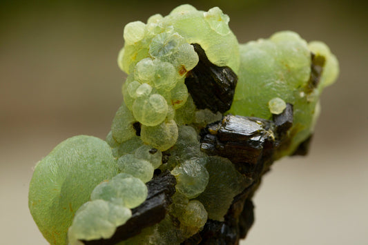 “The Orchard Lantern” — A Legend of Prehnite