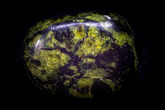 Serpentine “Mamba”: Legends & Myths — A Global Survey