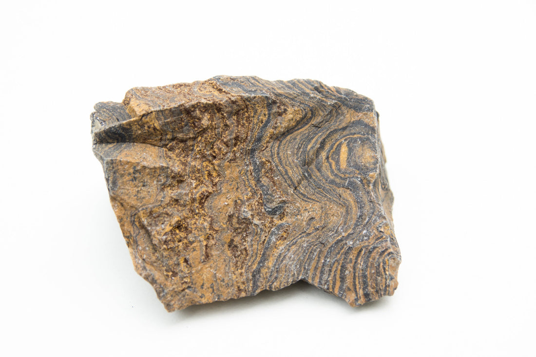 Stromatolite: Legends & Myths — A Global Survey