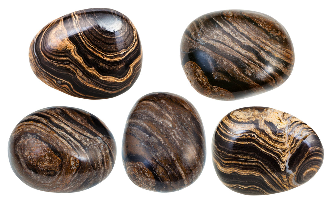Stromatolite: History & Cultural Significance