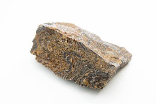 Stromatolite: Formation, Geology & Varieties
