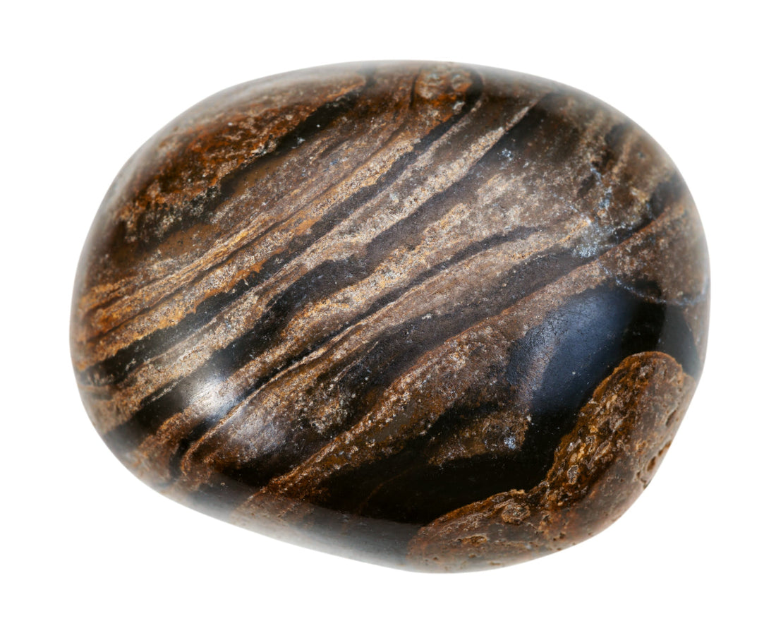The Reef‑Clock: A Legend of the Stone‑Diary Stromatolite