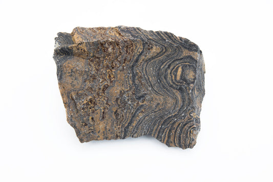 Stromatolite: Grading & Localities