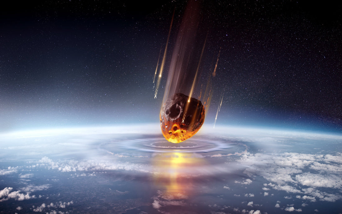 The Cretaceous–Paleogene Extinction