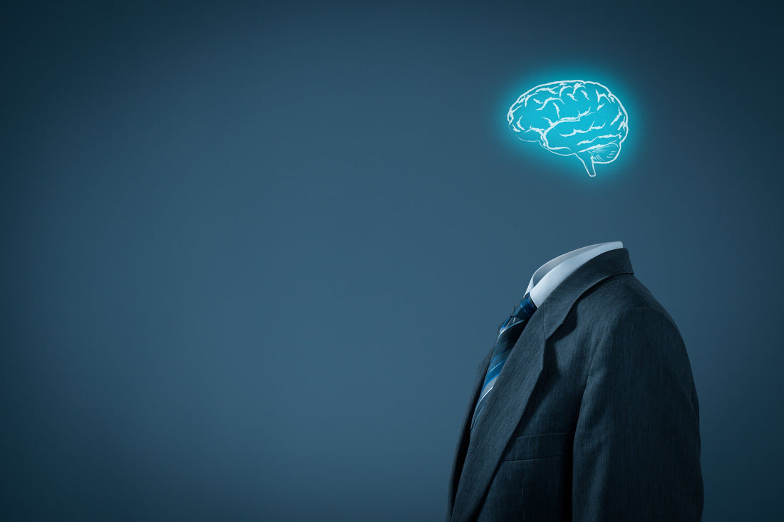 Understanding Intelligence and Brain Function