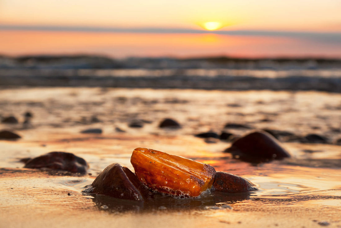 Amber: Formation, Geology & Varieties