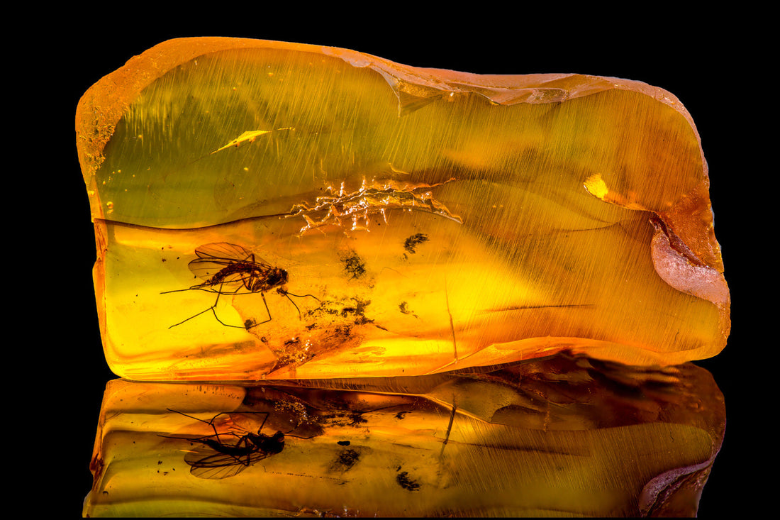 Amber: History & Cultural Significance