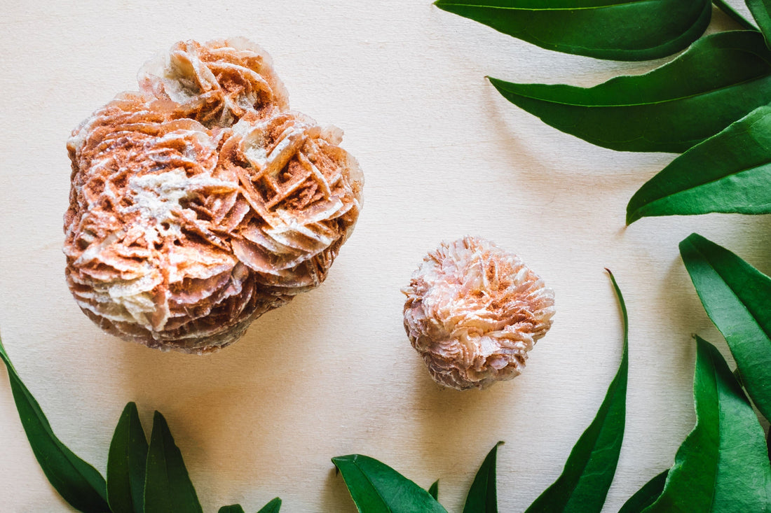 Desert Rose: The Rose That Drinks the Wind