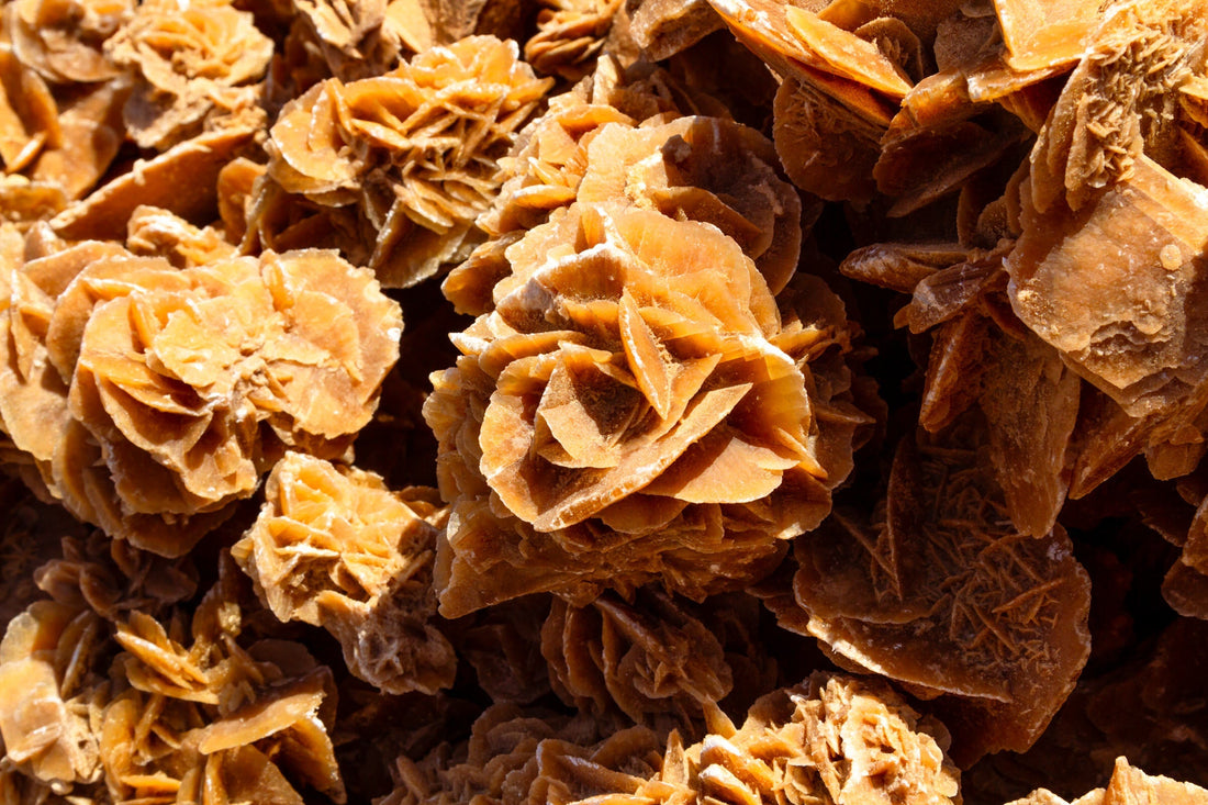 Desert Rose: History & Cultural Significance