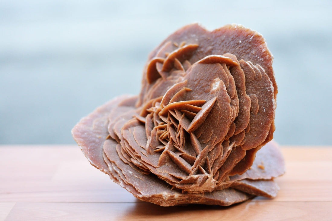 Left of the Wind — A Desert Rose Spell for Clarity & Calm