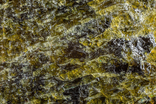 The Forest Compass — A Legend of Diopside