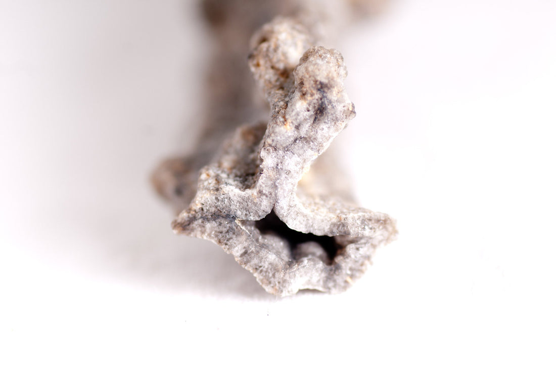 Fulgurite: The Stormscribe’s Promise