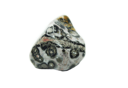 The Wayfinder’s Ember — A Jasper Legend