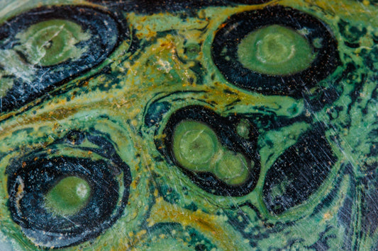 Kambaba Jasper: Formation, Geology & Varieties