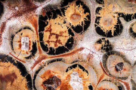 Leopardite Jasper: Legends & Myths — A Global Survey