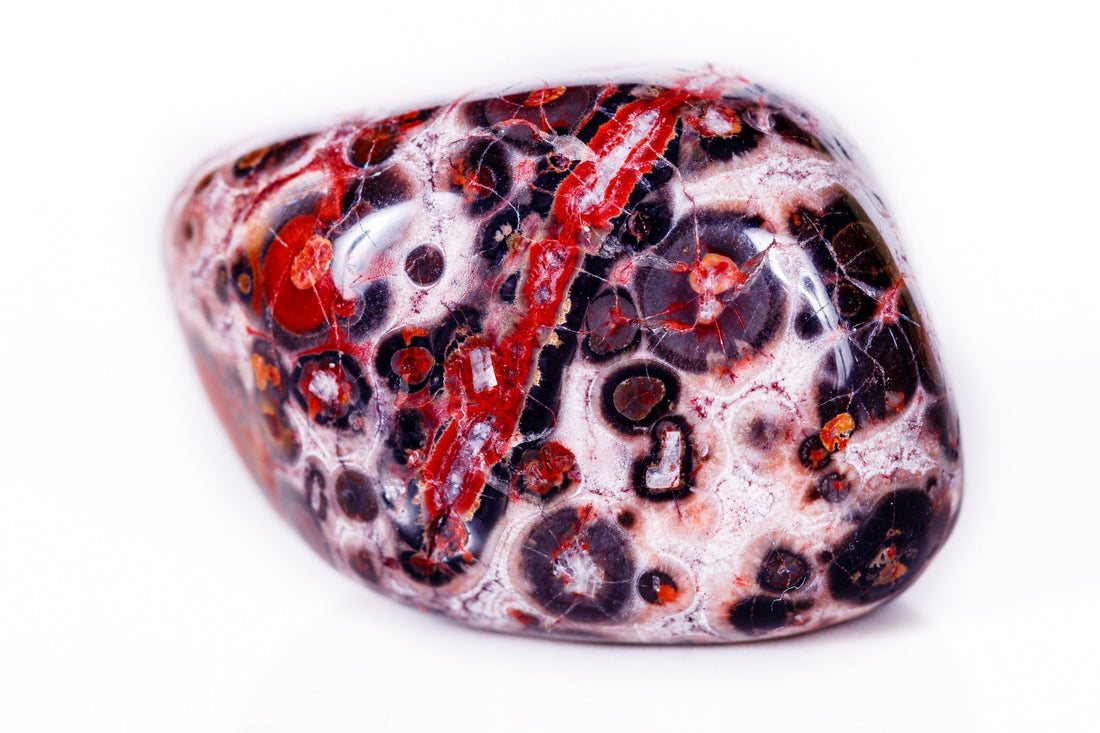 Leopardite Jasper: Mythical & Magic Uses — A Practical Guide