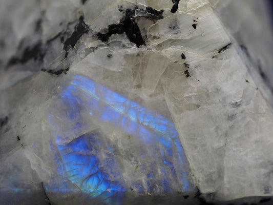 Moonstone: The Tide‑Clock of Noctilune