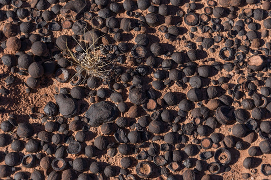 Moqui Marbles: Grading & Localities