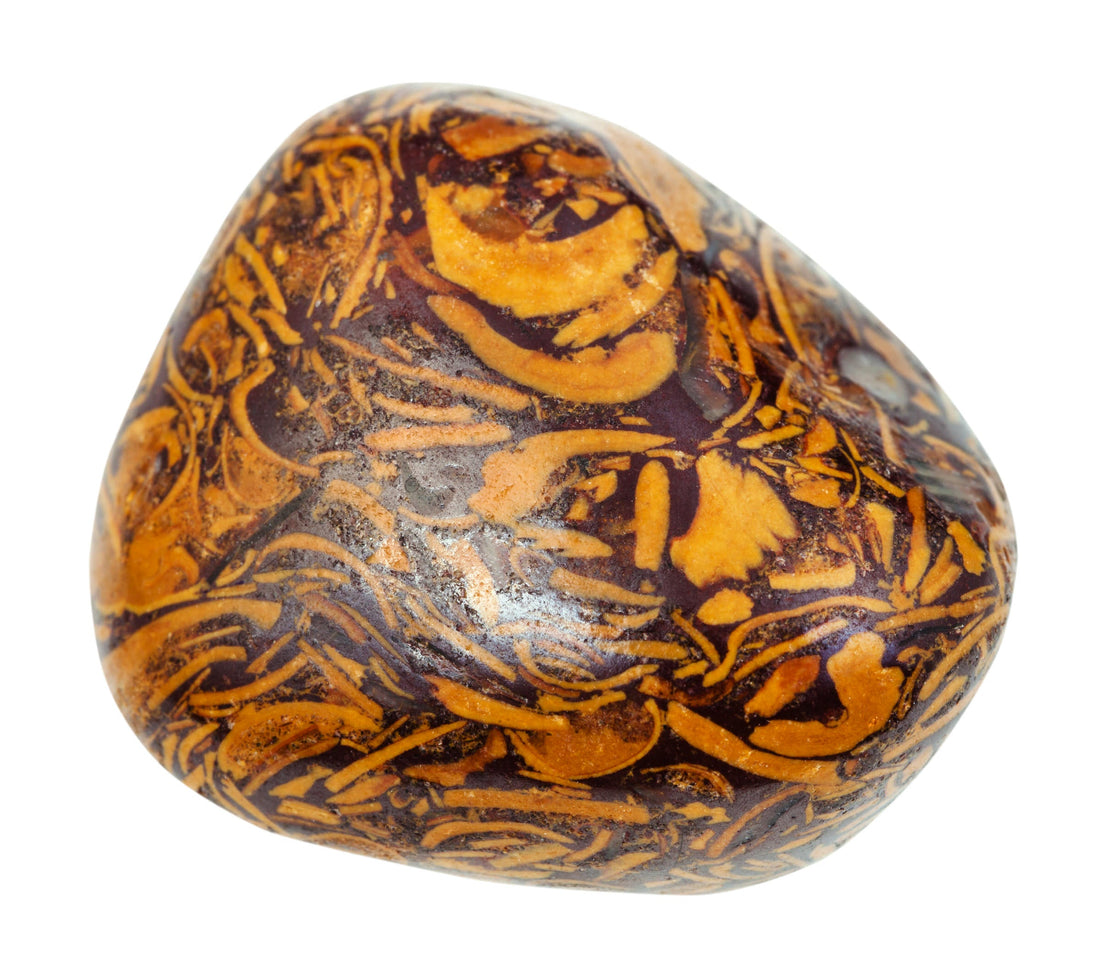 Snakeskin Jasper: Formation, Geology & Varieties
