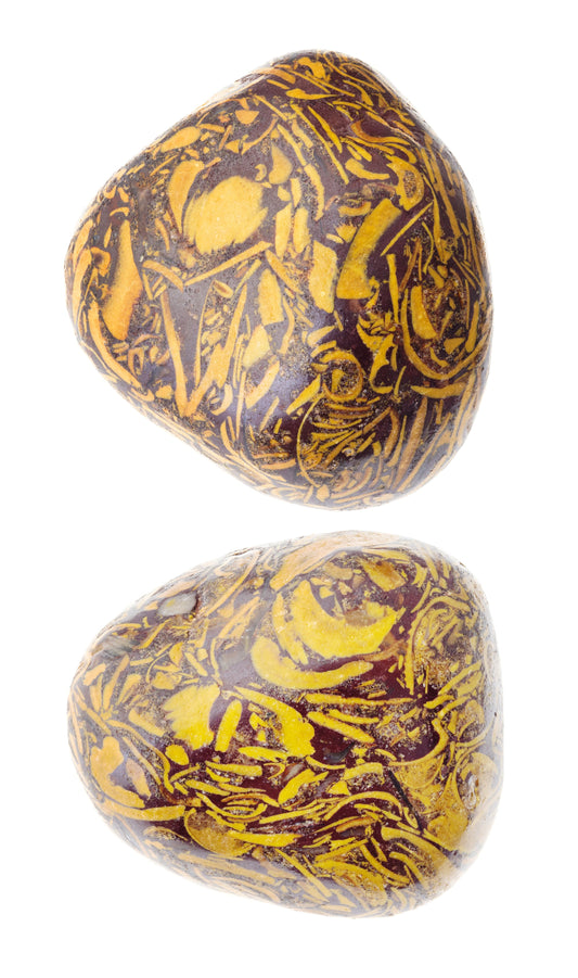 “Scale‑Hinge Ward” — A Snakeskin Jasper Spell